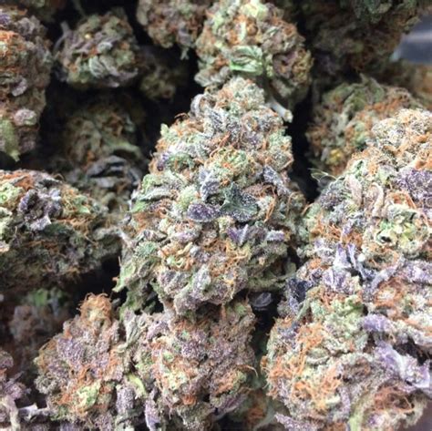 blue burberry haze|blueberry haze strain benefits.